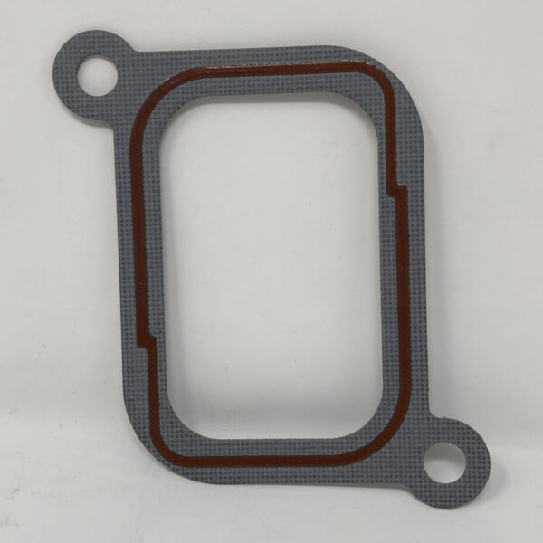 EMPAQUE MANIFOLD (R102838)