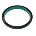 SELLO CIGUEÑAL TRASERO